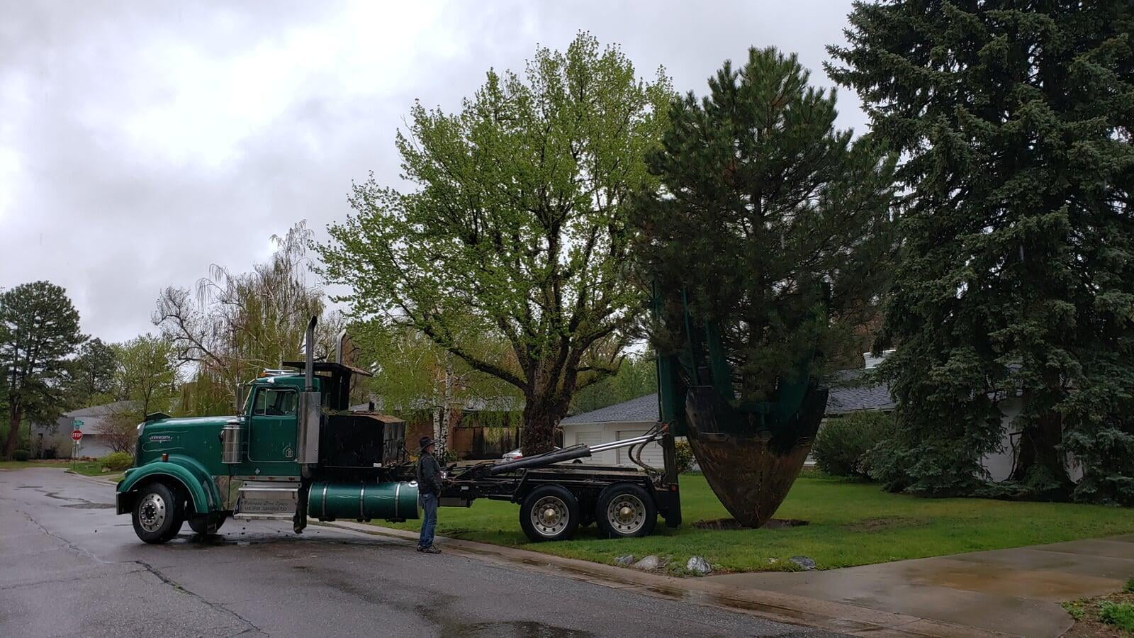 Tree soil prepared for tree planting using Colorado Tree Spade equipment