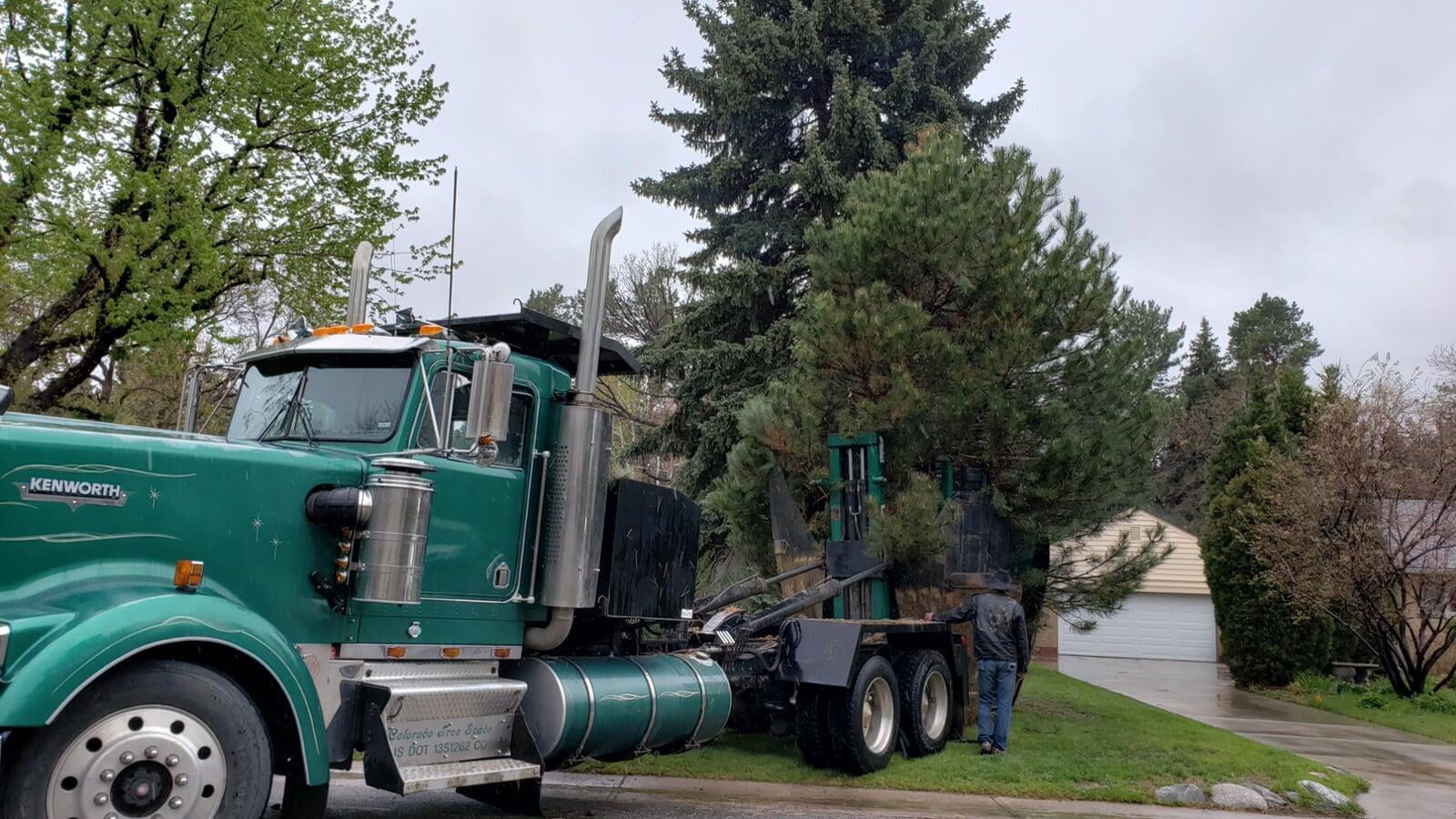 The Colorado Tree Spade performing big tree transplanting services