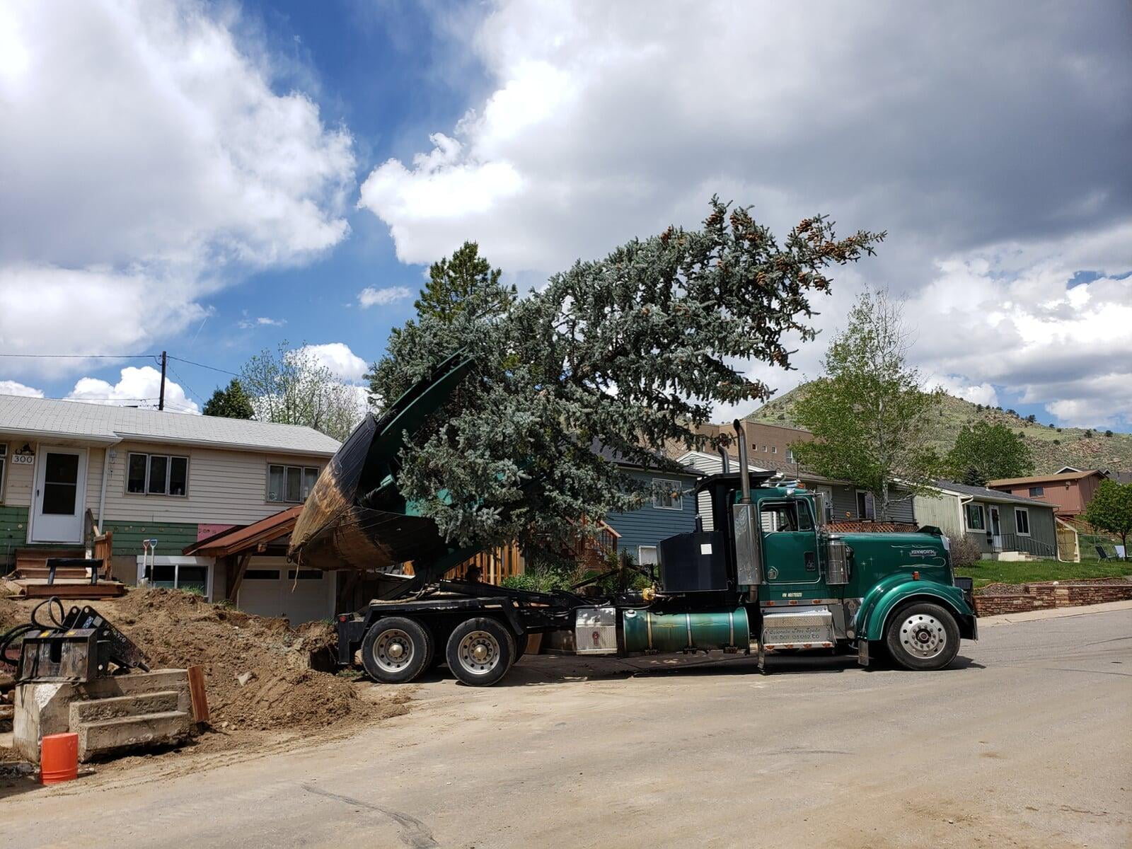 94" Holt Tree Spade for purchase at Colorado Tree Spade