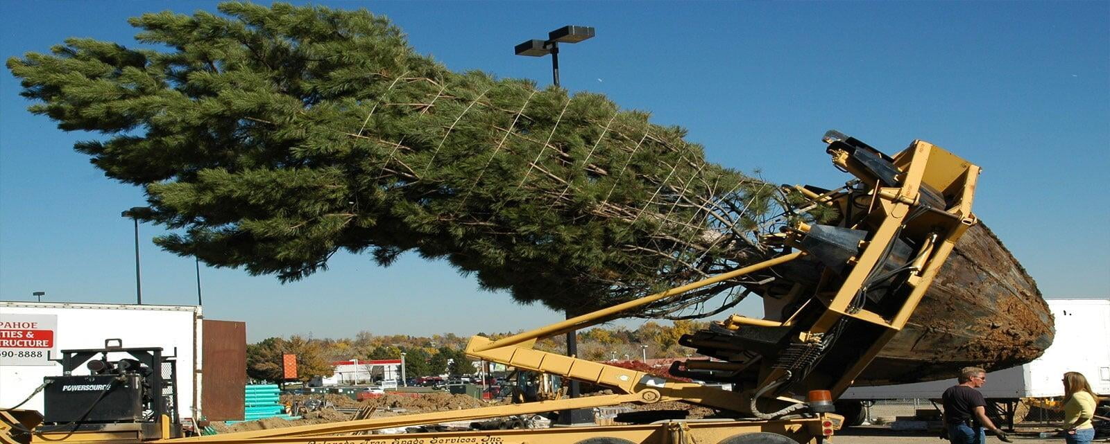 Site preparation for tree planting using "The Big Dipper"