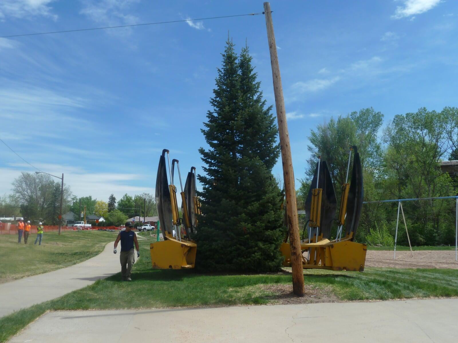 Post-tree spading service performed by Colorado Tree Spade
