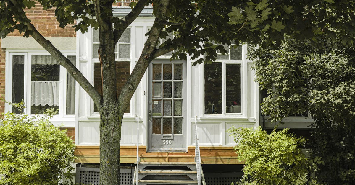 Why Mature Tree Relocation Is The Secret To Increasing Your Home’s Value