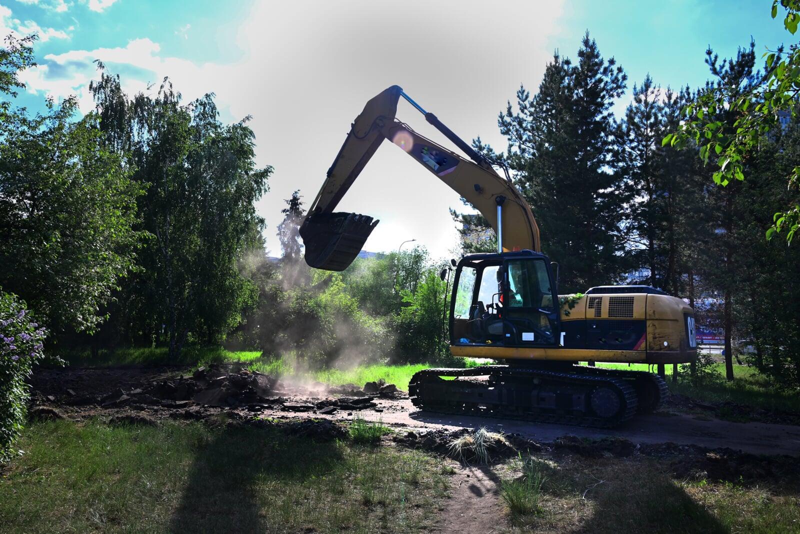 Tree Relocation for Developers and Municipal Projects: A Sustainable Solution